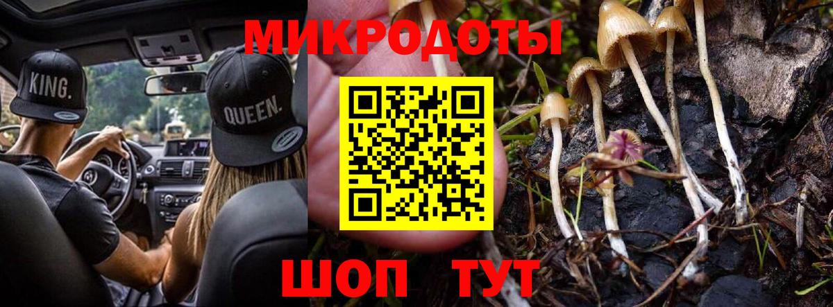 Псилоцибиновые грибы Cubensis Амурск