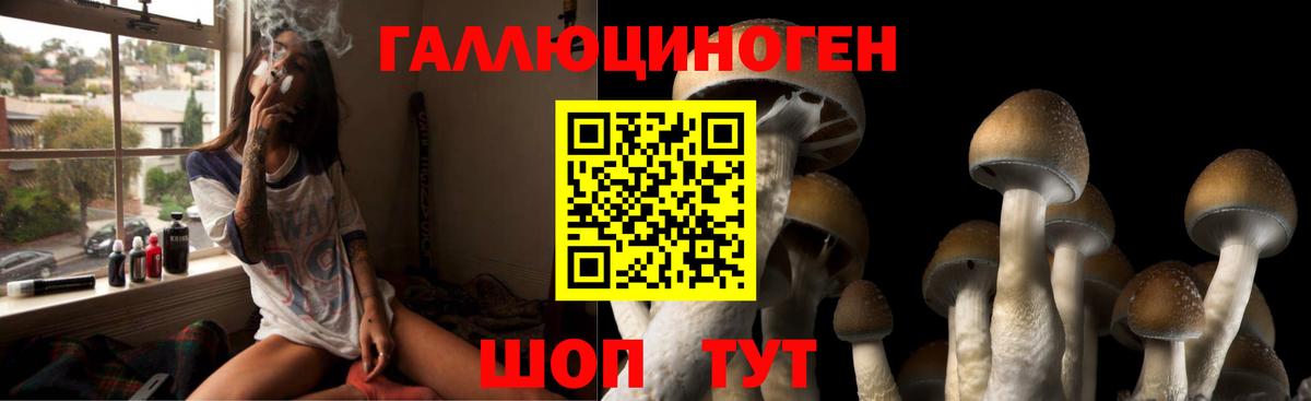 Псилоцибиновые грибы Magic Shrooms  Вход с VPN  Амурск  Псилоцибиновые грибы Cubensis 